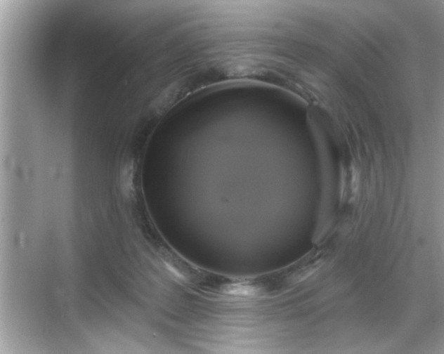 X0000069360219200605150925