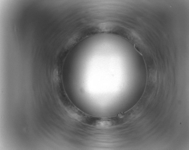 X0000069360220200605150925