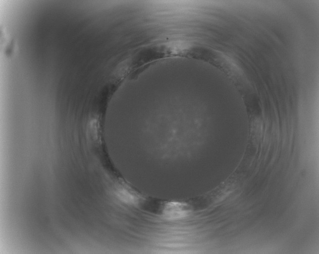 X0000069360222200605150925