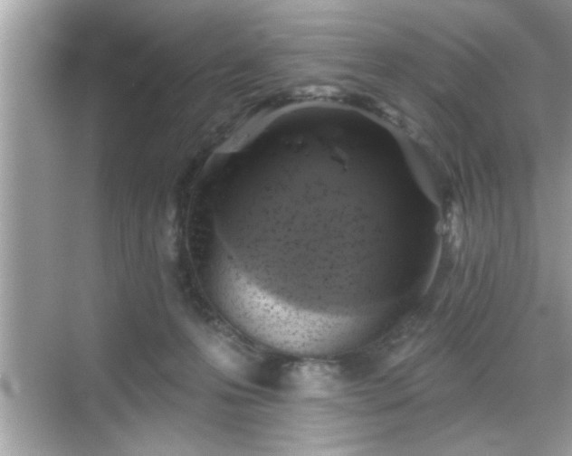 X0000069360223200605150925