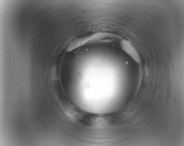 X0000069360224200605150925