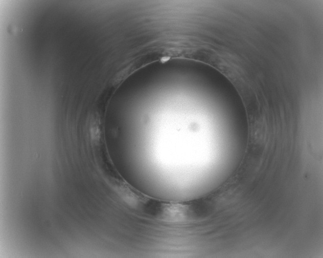 X0000069360226200605150925