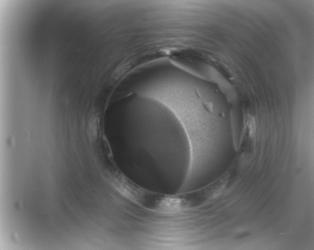 X0000069360227200605150925