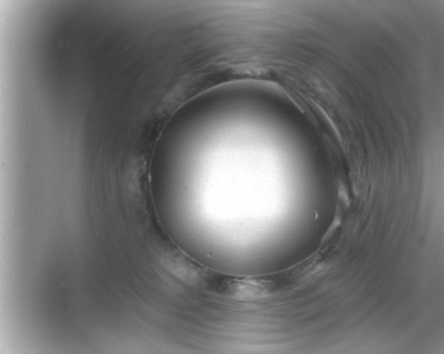 X0000069360229200605150925