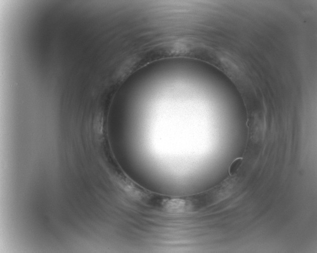 X0000069360230200605150925