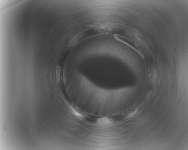 X0000069360231200605150925