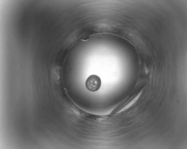 X0000069360232200605150924