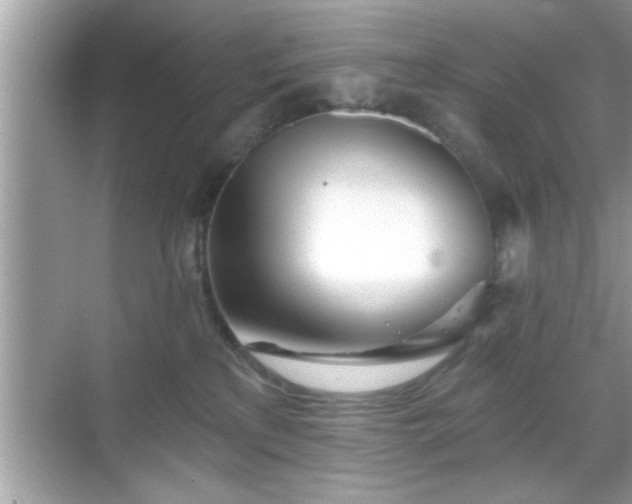 X0000069360233200605150924