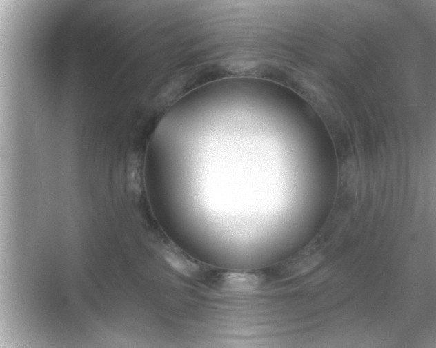 X0000069360234200605150924