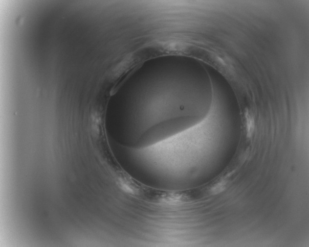 X0000069360235200605150924