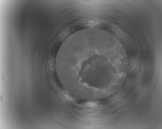 X0000069360236200605150924