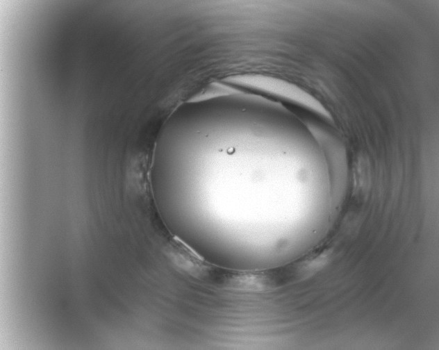 X0000069360237200605150924