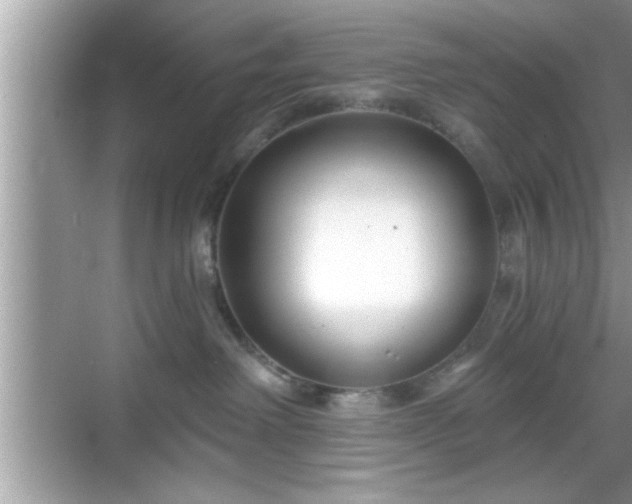 X0000069360238200605150924