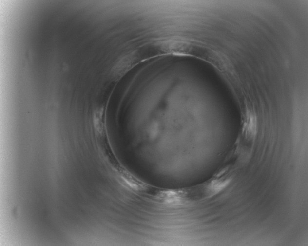 X0000069360239200605150924