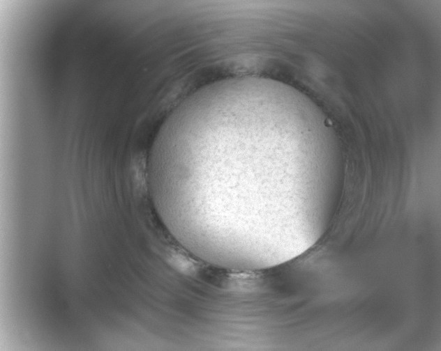 X0000069360240200605150924