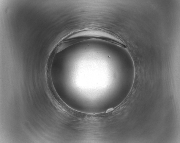 X0000069360242200605150924