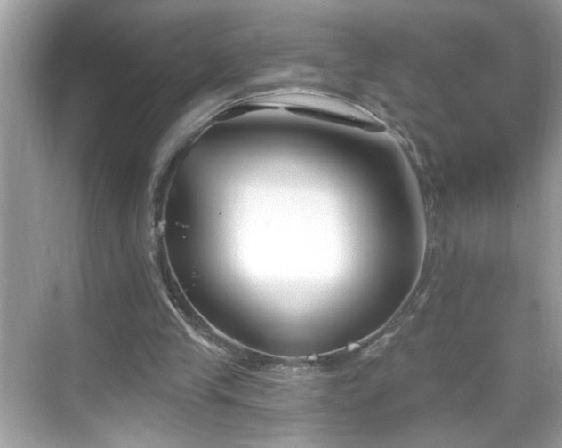 X0000069360245200605150924