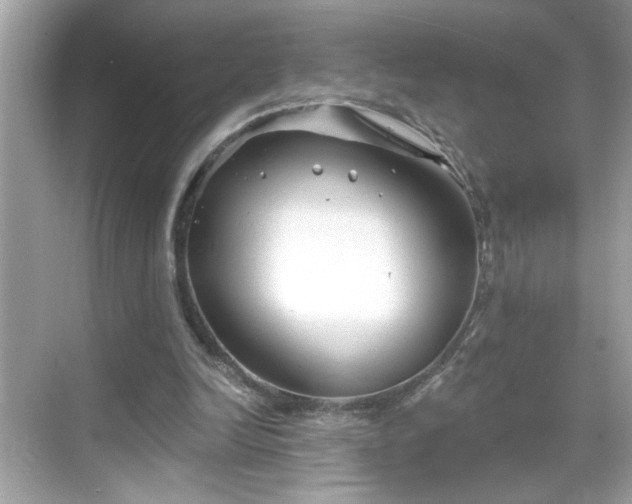 X0000069360246200605150924