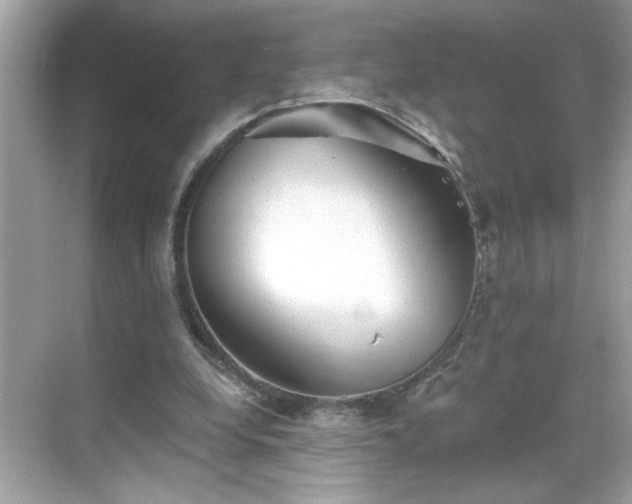 X0000069360248200605150924