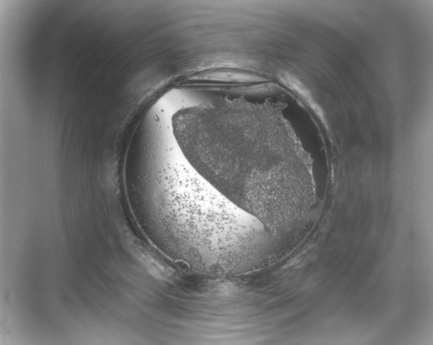 X0000069360249200605150924