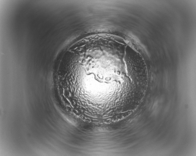 X0000069360250200605150924