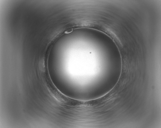 X0000069360251200605150924