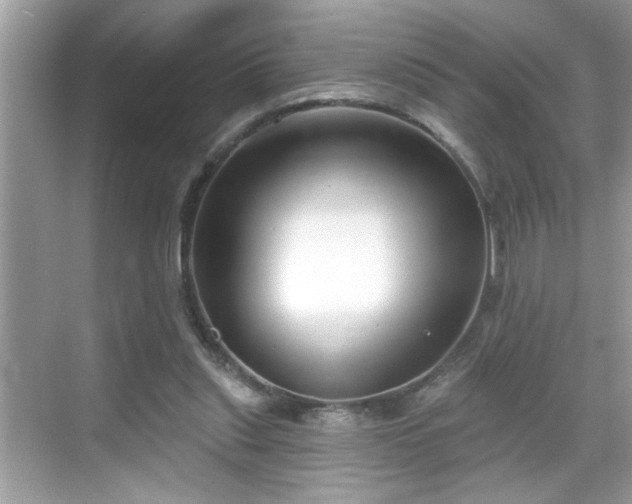 X0000069360253200605150924