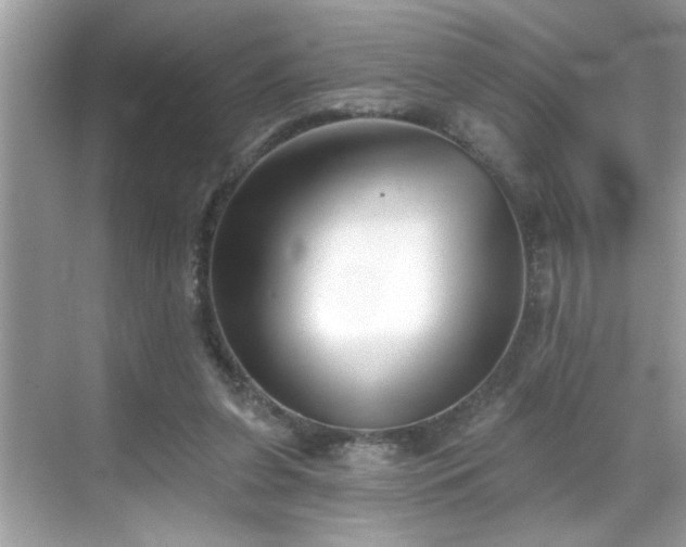 X0000069360255200605150924