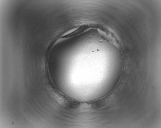 X0000069360257200605150924