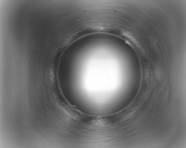 X0000069360259200605150924