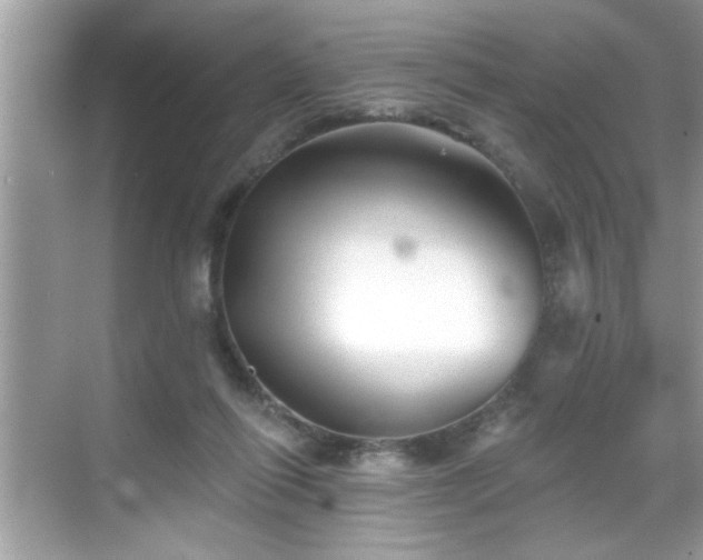 X0000069360262200605150924