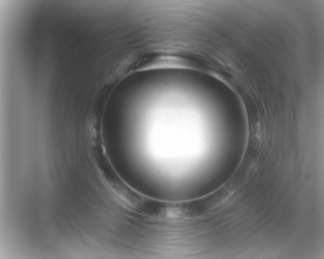 X0000069360264200605150924