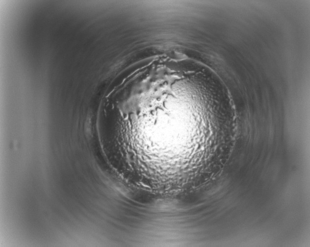 X0000069360266200605150924