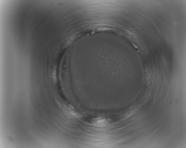 X0000069360267200605150924