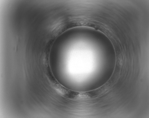 X0000069360270200605150924