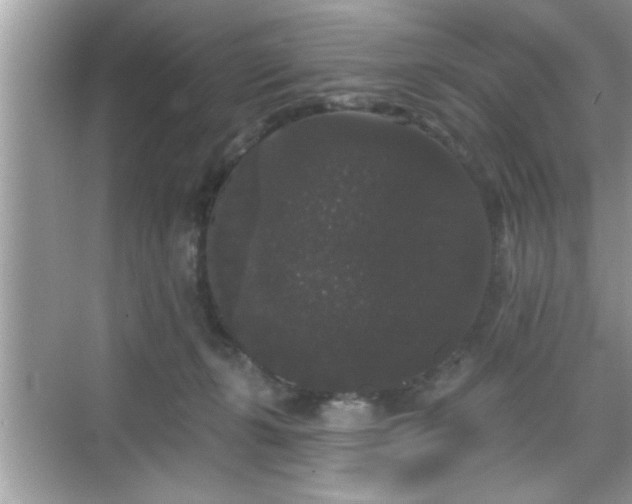 X0000069360271200605150924