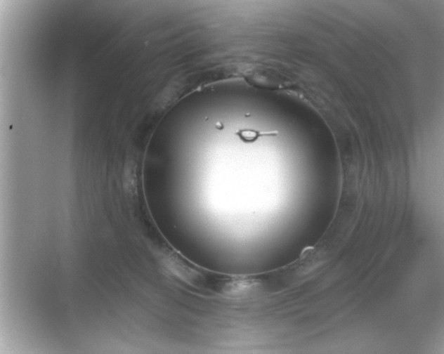 X0000069360274200605150924