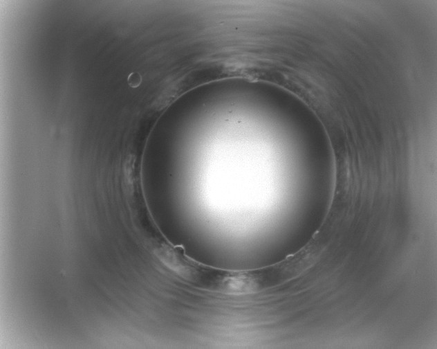 X0000069360275200605150924