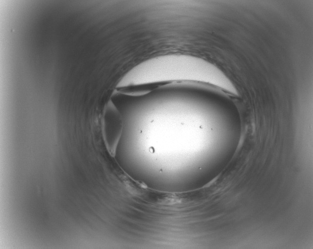 X0000069360276200605150924