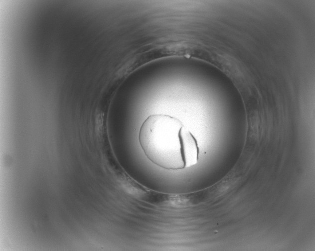 X0000069360278200605150924