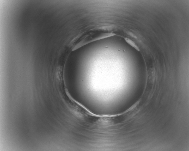 X0000069360280200605150924