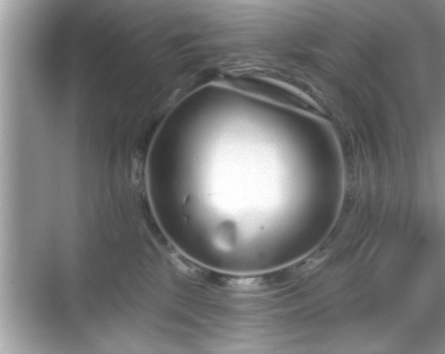 X0000069360281200605150924