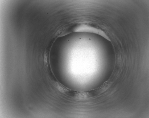 X0000069360282200605150924