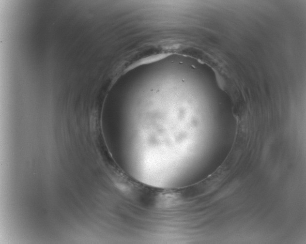 X0000069360283200605150924