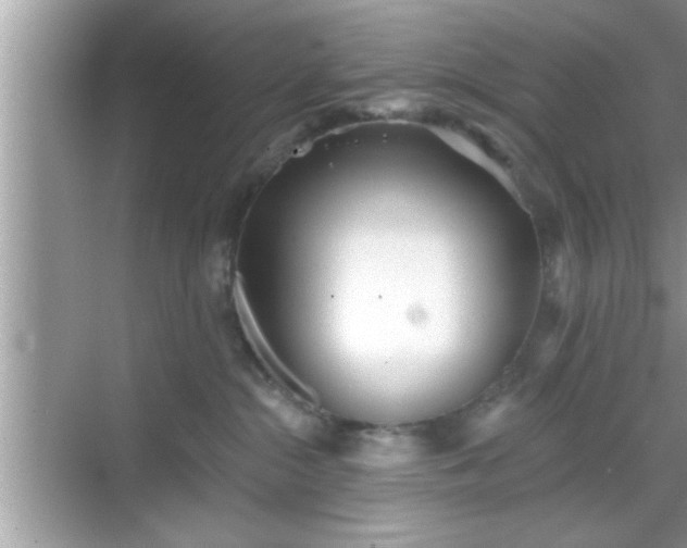 X0000069360284200605150924