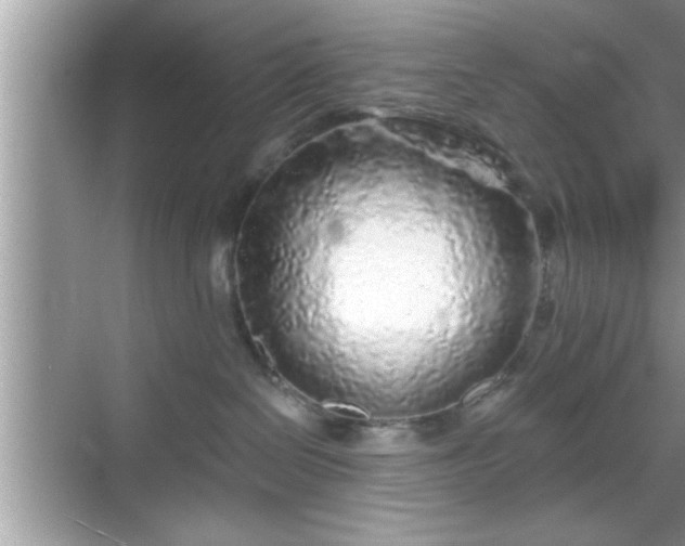 X0000069360286200605150924