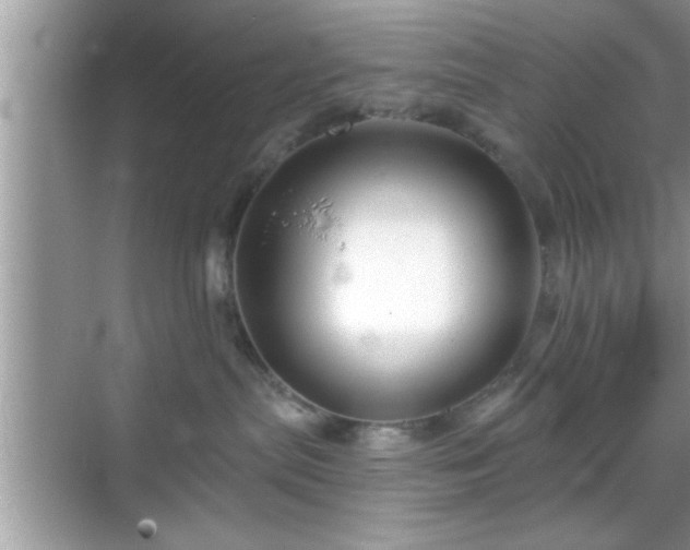 X0000069360287200605150924