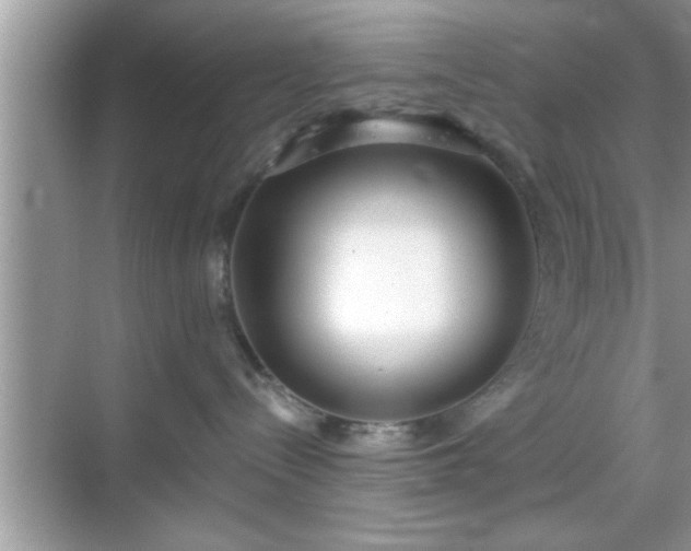 X0000069360288200605150924