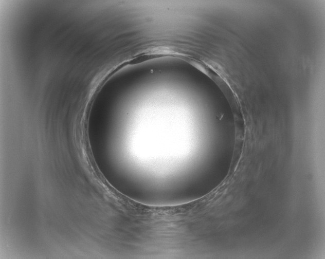 X0000069360289200605150924