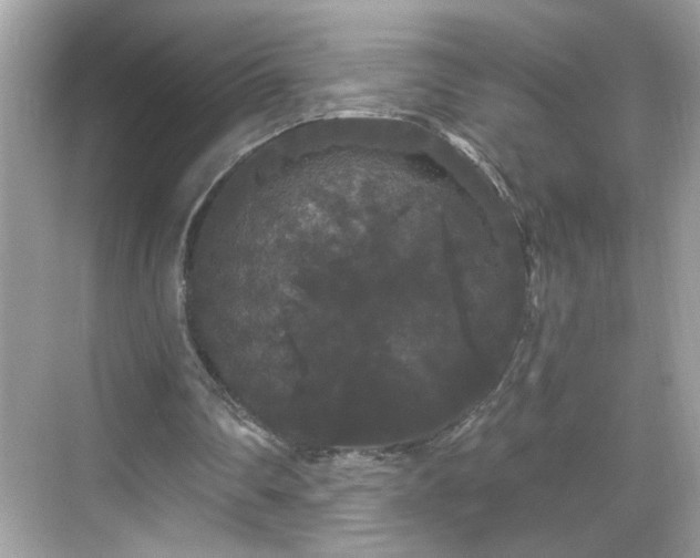 X0000069360290200605150924